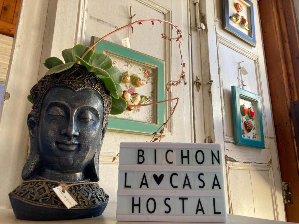 Bichon La Casa Hostal ปิชิเลมู ภายนอก รูปภาพ